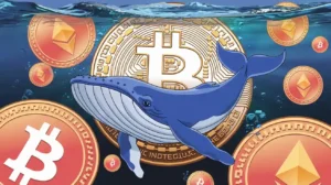 Read more about the article Bitcoin’s New Whales Dominate the Market: A CryptoQuant Analysis